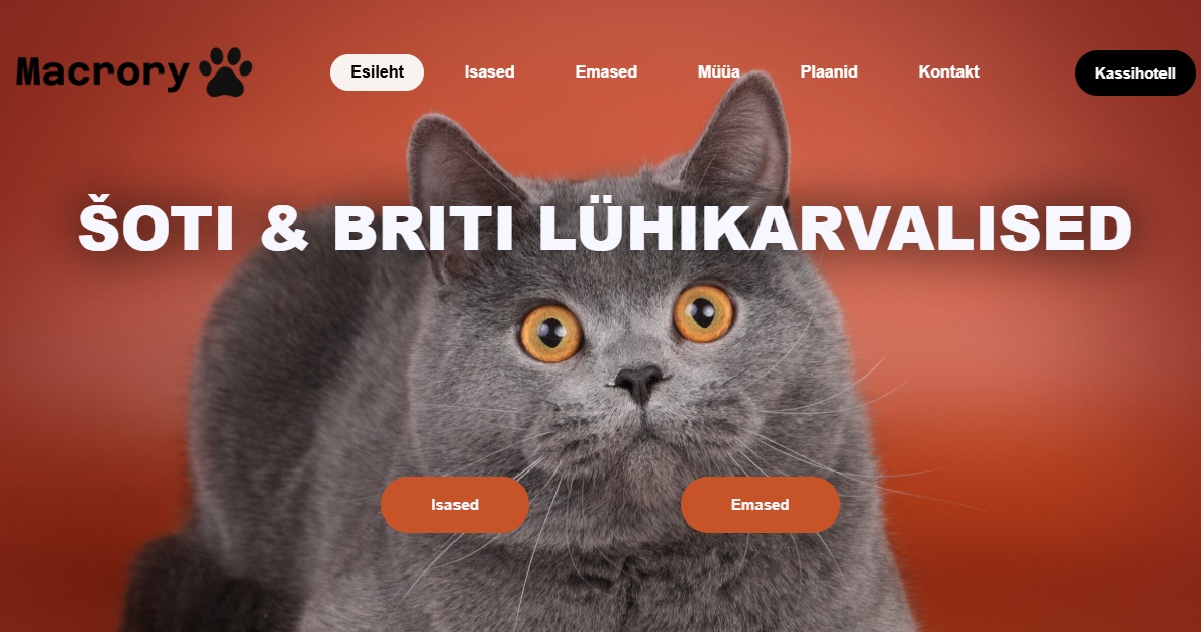 Esileht - Macrory Kassikasvandus