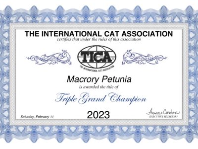 Image for Macrory Petunia