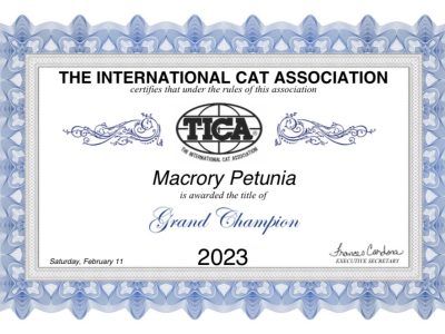 Image for Macrory Petunia