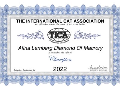 Image for Afina Lemberg Diamond of Macrory