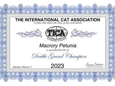 Image for Macrory Petunia