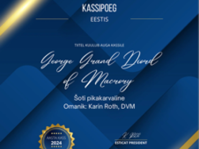 Image for George Grand Diord of Macrory