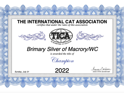Image for BriMary Silver of Macrory