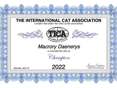 Image for Macrory Daenerys