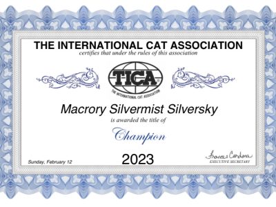 Image for Macrory Silvermist Silversky