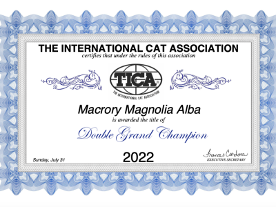 DGC_MacroryMagnoliaAlba
