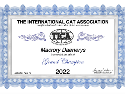 Image for Macrory Daenerys