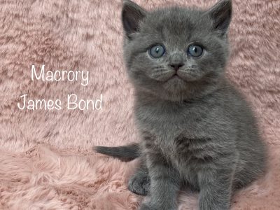 Macrory James Bond 5w