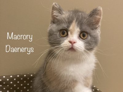 MacroryDaenerys10w