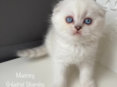 MacroryGaladrielSilversky7w
