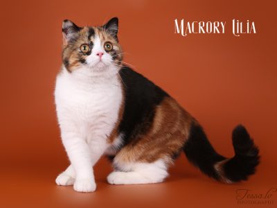 MacroryLilia6months(2)