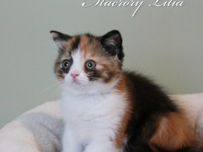 MacroryLilia9weeks