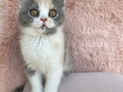 MacroryXandra10w