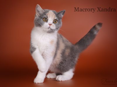MacroryXandra3m1