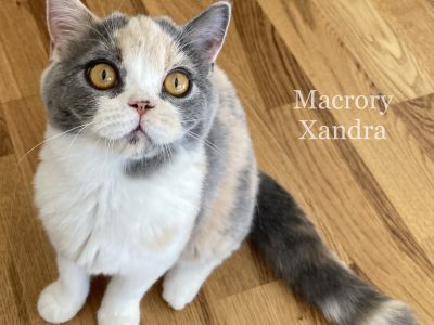MacroryXandra4m4
