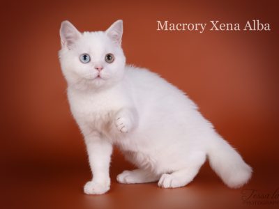 MacroryXenaAlba3m1