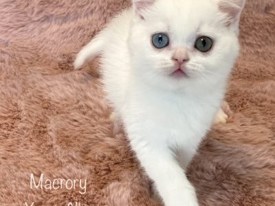 MacroryXenaAlba7w