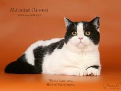 Macrory_Oinone_7_months_260x191