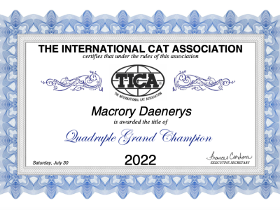 Image for Macrory Daenerys