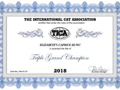 TGCCaprice