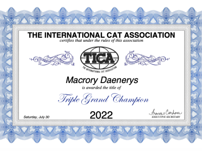 Image for Macrory Daenerys