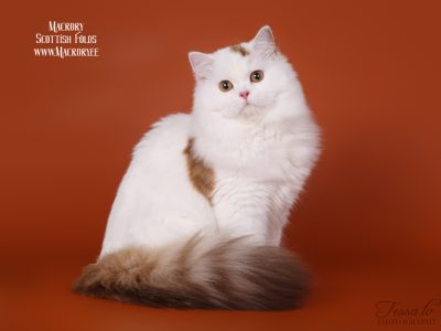 UliannaofDiord6months(2)